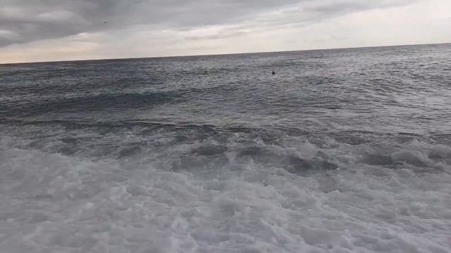 VID_20220919_203503_962.mp4