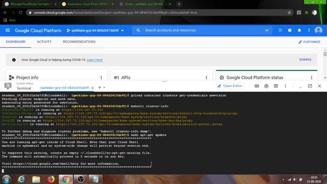 Awwvision Cloud Vision API from a Kubernetes Cluster