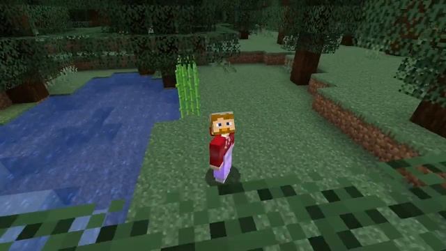 Minecraft | Can You Remove Curse of Binding?