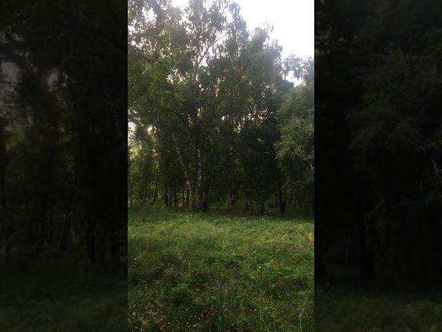 Природа #Красота
