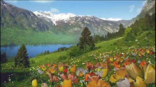 (2015) Palmolive НАТУРЭЛЬ - Гель для душа АЛТАЙСКИЕ ТРАВЫ