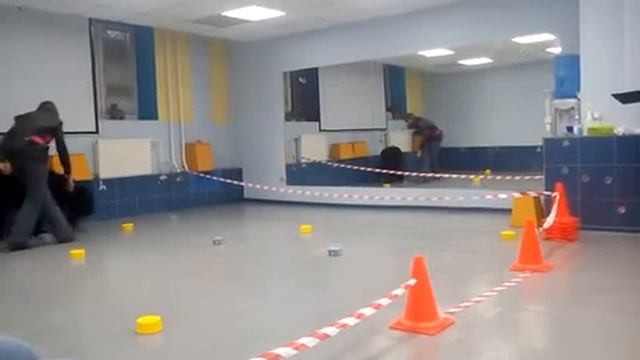 РЧТ, предметы