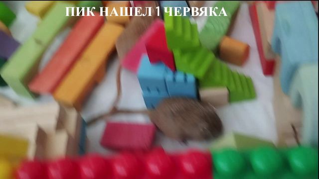 Челлендж с крысками