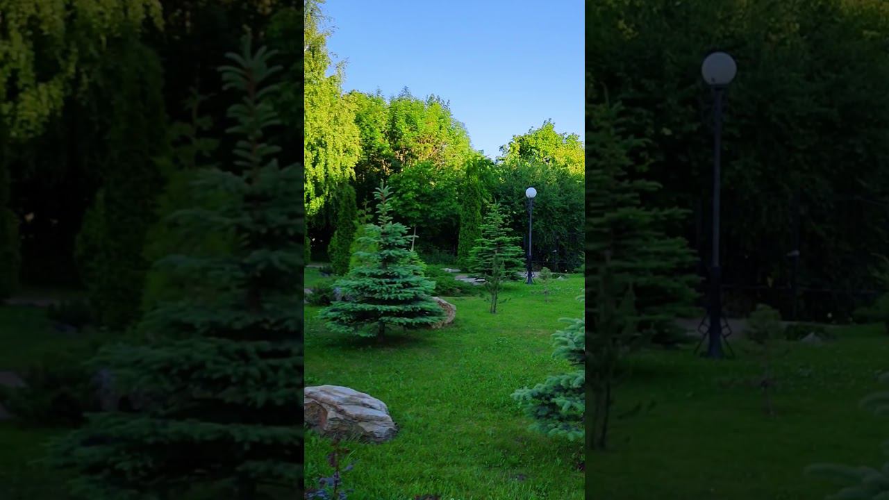 Дубовое, территория храма, Белгородская область. Dubovoye, the territory of the temple, Belgorod