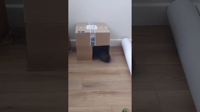 ? УШЕЛ, ОБЕЩАЛ ВЕРНУТЬСЯ