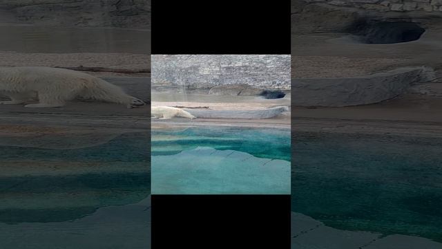 Михаил Морозов