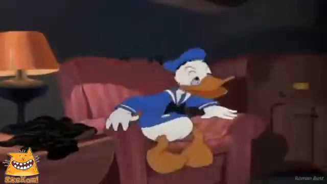 Мой кот утка. ЯжеКОТ!