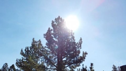 RENOVATING OUR MOBILE HOME (WHILE WE LIVE IN IT)