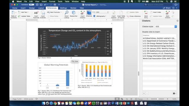 IEEE Reference in MS Word
