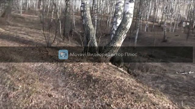 Прогулка на Озеро))))