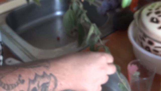 КАК ПРОЖИТЬ ЦЕЛЫЙ ДЕНЬ НА 0 РУБЛЕЙ! проверяем лайфхаки slivkishow \ жирный