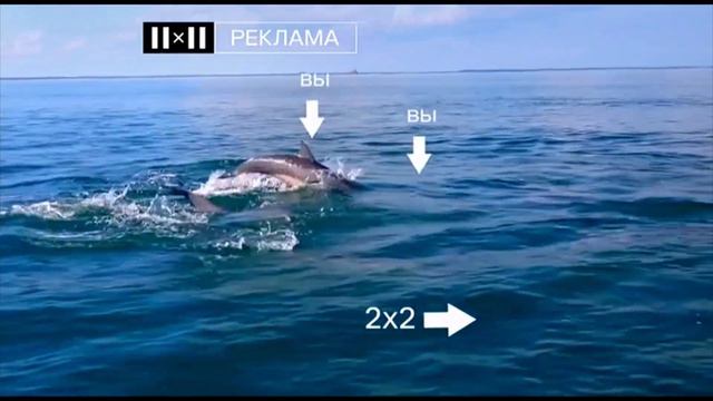 Рекламные заставки 2х2 лето 2022 1