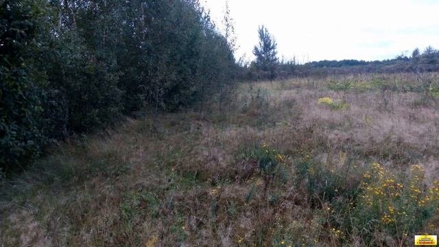 Участок 12 сот Василево Егорьевск Московская обл Рассрочка обмен