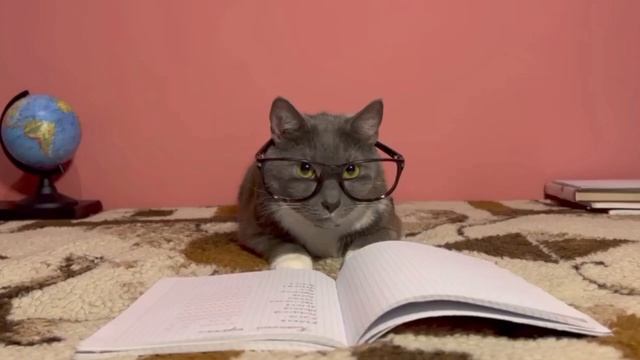 kotiynet RYTP Лотков в поисках Лоткова