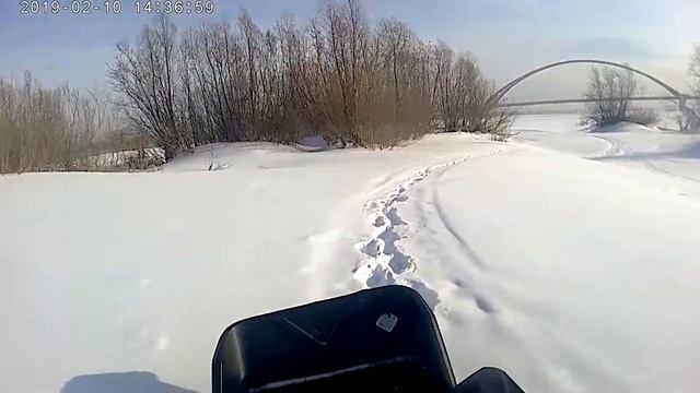 Мотобуксировщик Щукарь ! Толкач ! А батарейка все не садится !)