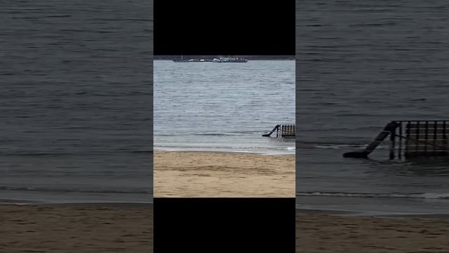 Экстремальное плавание в открытой воде на Волге