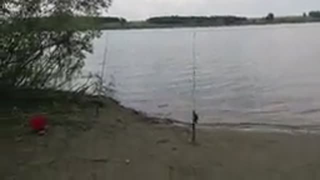 Рыбалка на Правдинском водохранилище Барнаул.  Клева не было совсем, но эта снасть ловила