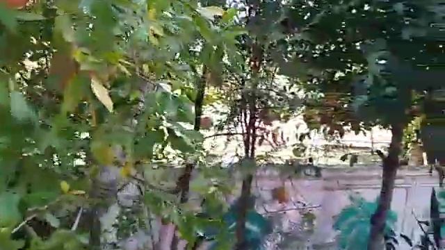 ВСЕМ ДОБРОГО УТРА !УТРО НАЧИНАЕТСЯ С САНИТАРНЫМИ МЕРОПРИЯТИЯМИ В ПОДЪЕЗДЕ !БЕРЕЖЕНОГО БОГ БЕРЕЖЕТ!