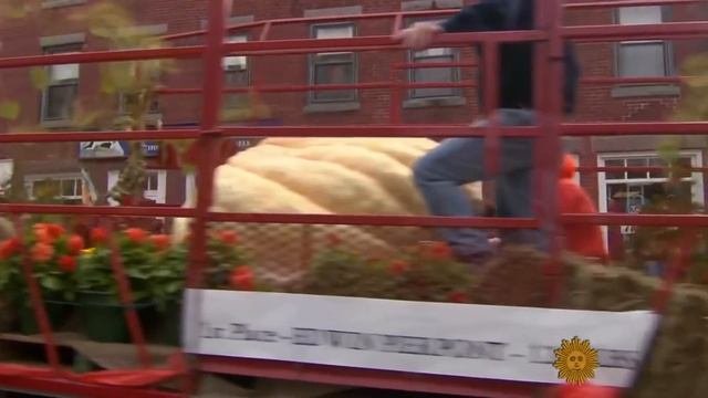 Американец попал в Книгу рекордов Гиннесса, проплыв на лодке из тыквы