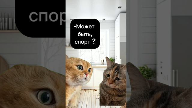 Сложный выбор #рекомендации#рек #shorts#тренды#приколы #котики