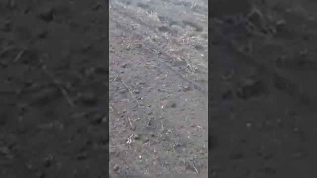 Дизельный мотоблок плохой и тяжёлый 12 л.с.! Серьёзно?