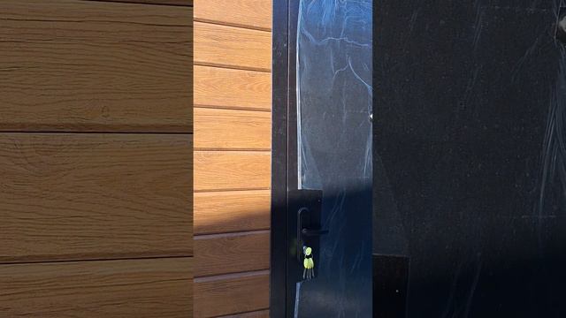 1000014767.mp4