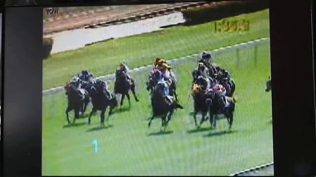 戴勝 幸運組合 17/02/2002 沙田 第四班 - 1800米 - (060-040)