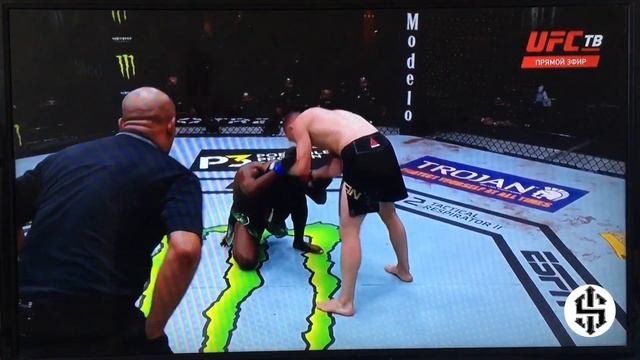 Пётр Ян vs Алджамейн Стерлинг. Бой Ян Стерлинг. Sterling vs Yan
