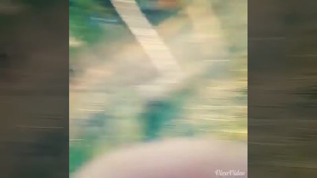Дача #1  Столкновение характеров.