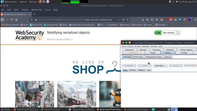 Modifying serialized objects
