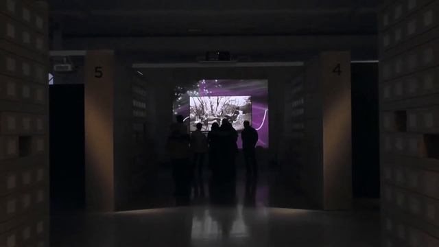 Интерактивная проекционная инсталляция "Романовы"