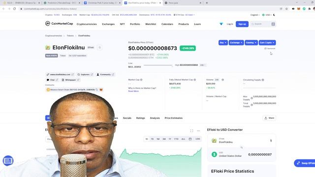REBASE 2 TOKEN NO COINMARKETCAP Christmas Floki X E ElonFlokiInu
