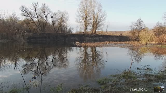 Утро на р.Оскол. 31.03.2024г.