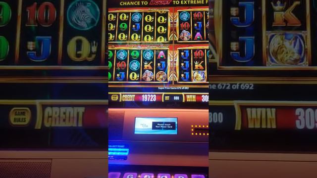 part 2 wonder 4 rhino 692 spins handpay
