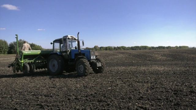 В хозяйствах Воронежской области подсчитывают убытки, нанесённые майскими заморозками