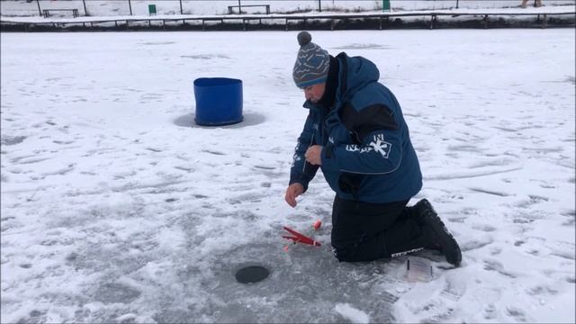 Лучше работают пассивные снасти. Клёвое место д.Савельево.