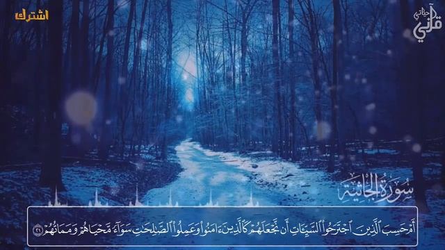 Вам снова и снова захочется послушать этого чтеца | Сура Аль - Джасия | чтец : Ахмад Хизри