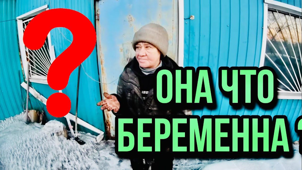 ОТДАЛИ КОШКУ В ХОРОШИЕ РУКИ ?? // ИННА МОЖЕТ СПАТЬ СПОКОЙНО ?