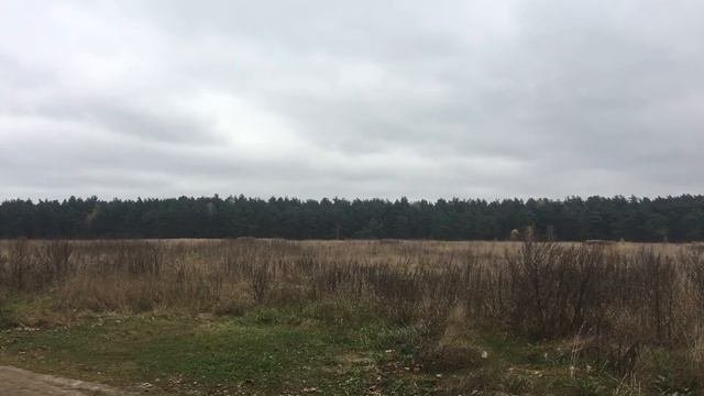 1 ноября 2020 г.