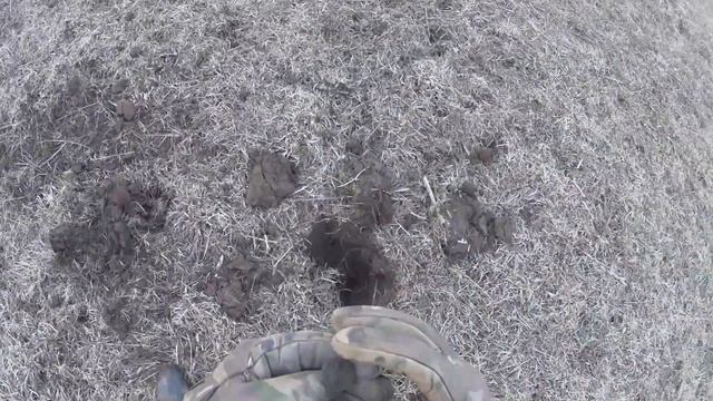 Коп на мусорке! Эквинокс рулит!