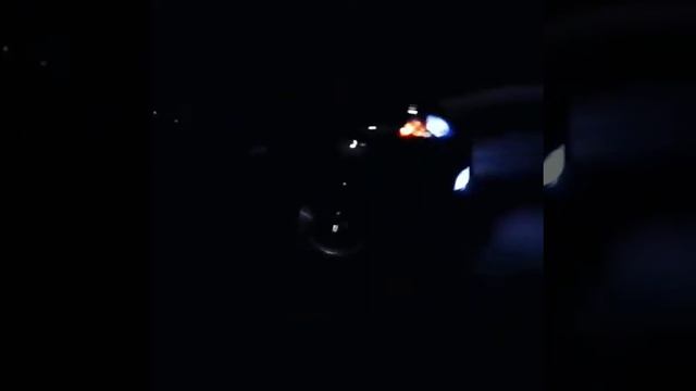 Чорни делфин (джентра)gentra 2019