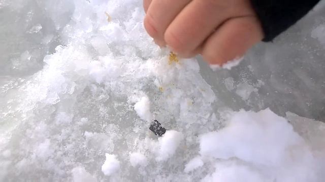 ШОК!!! Монстр из глубин! Странное существо сняли на камеру!