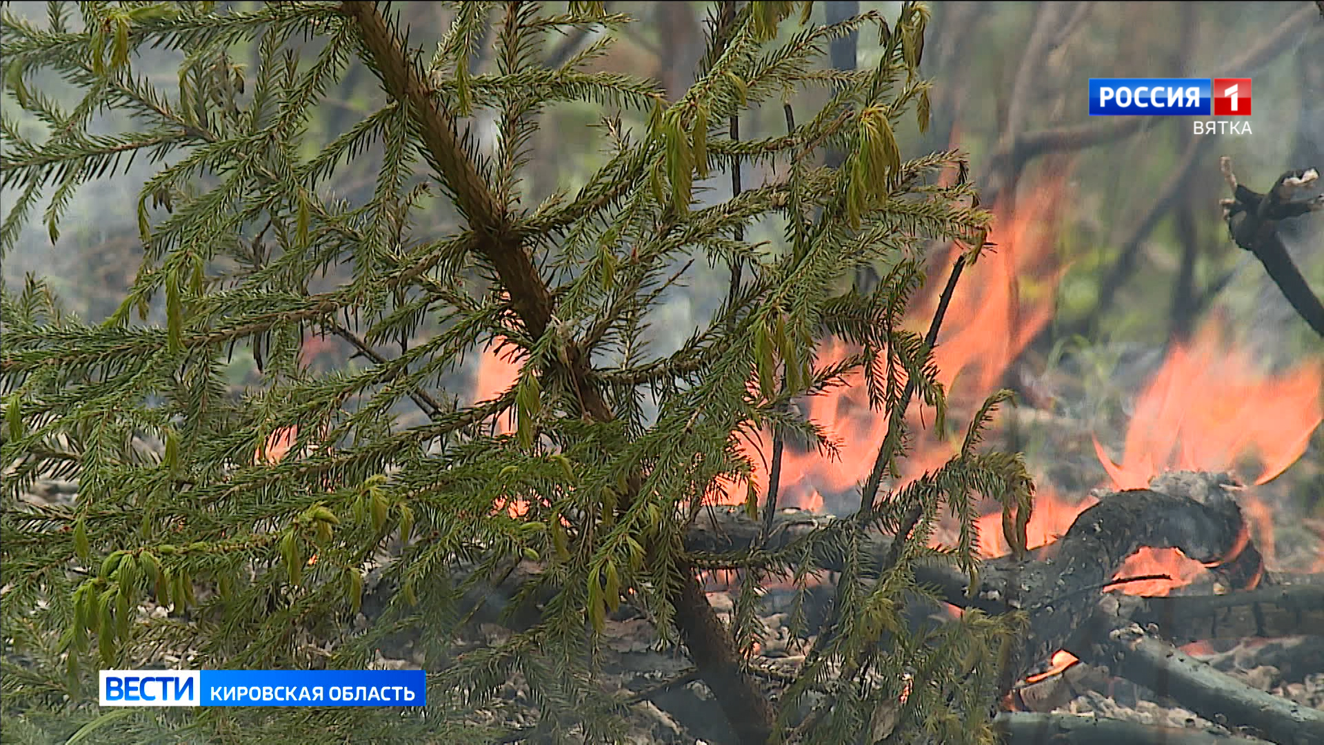 На территории Вятскополянского района прогнозируют высокую пожарную опасность