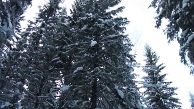 За трофейной щукой. Неудачный поход.