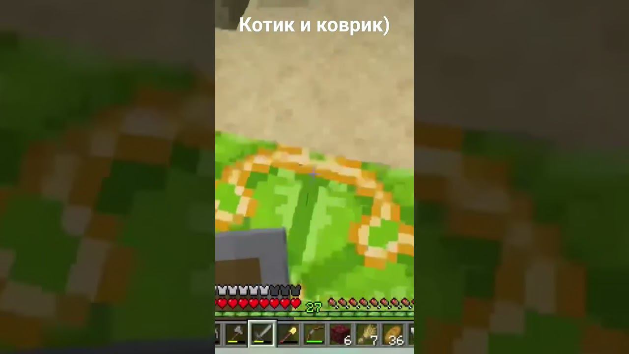 Котик и коврик) #minecraft #выживание #shorts #котики