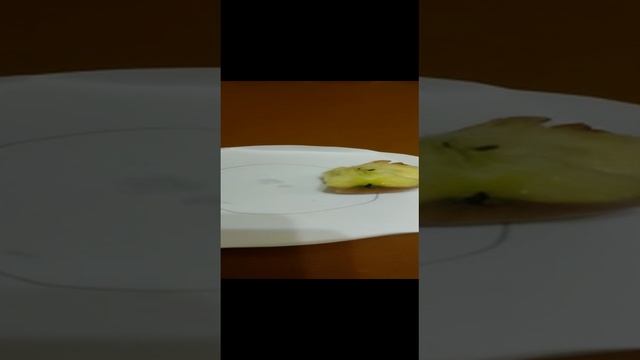 когда сильно голоден