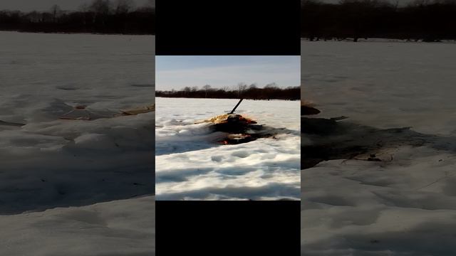 VID_20240317_123416.mp4