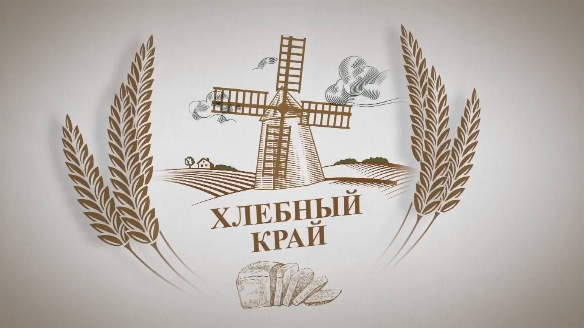 «Хлебный край». Валерий Гачман: почему осенью, скорее всего, цены на зерно останутся без изменений