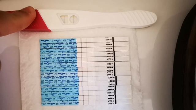 TTC Cycle 2/3 First Live Pregnancy Test