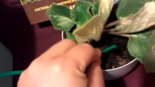 Система автоматического полива GA-010
